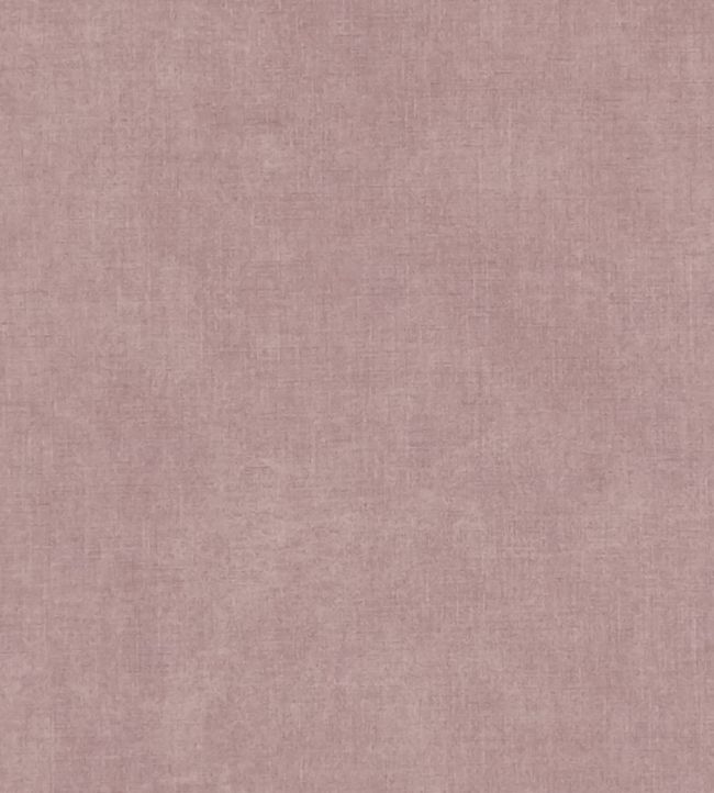 Martello Fabric by Clarke & Clarke Blush