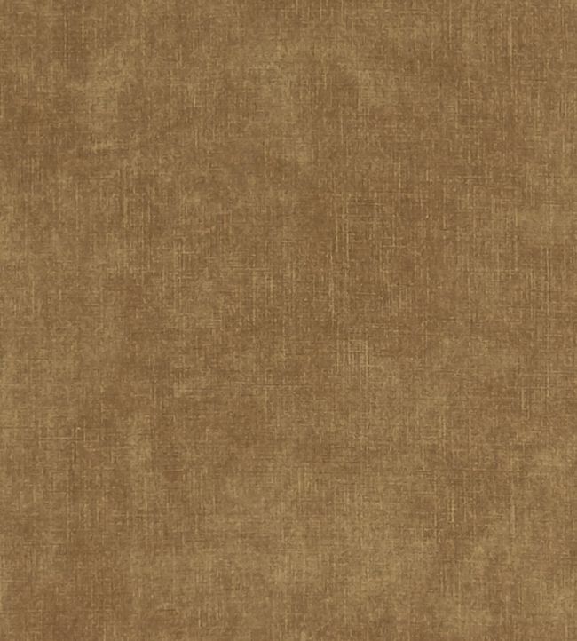 Martello Fabric by Clarke & Clarke cinnamon