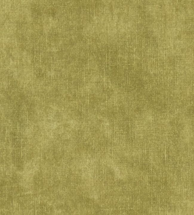 Martello Fabric by Clarke & Clarke Citron