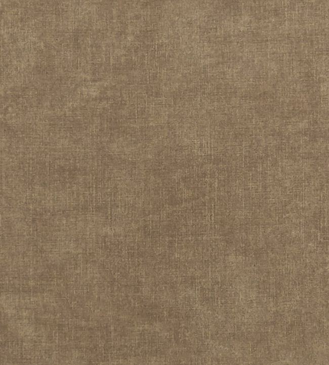 Martello Fabric by Clarke & Clarke Cocoa