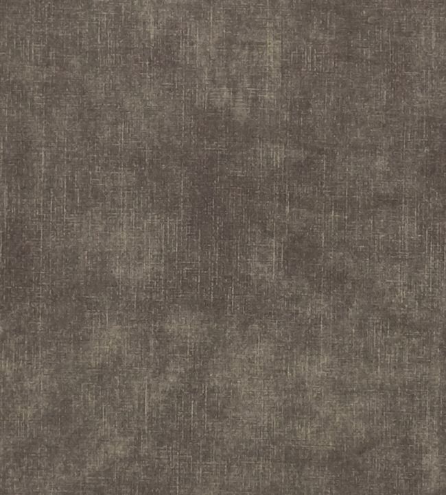 Martello Fabric by Clarke & Clarke Earth