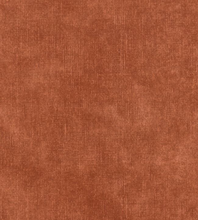 Martello Fabric by Clarke & Clarke Flame