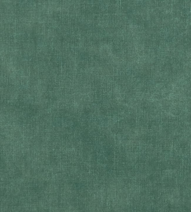 Martello Fabric by Clarke & Clarke Glade