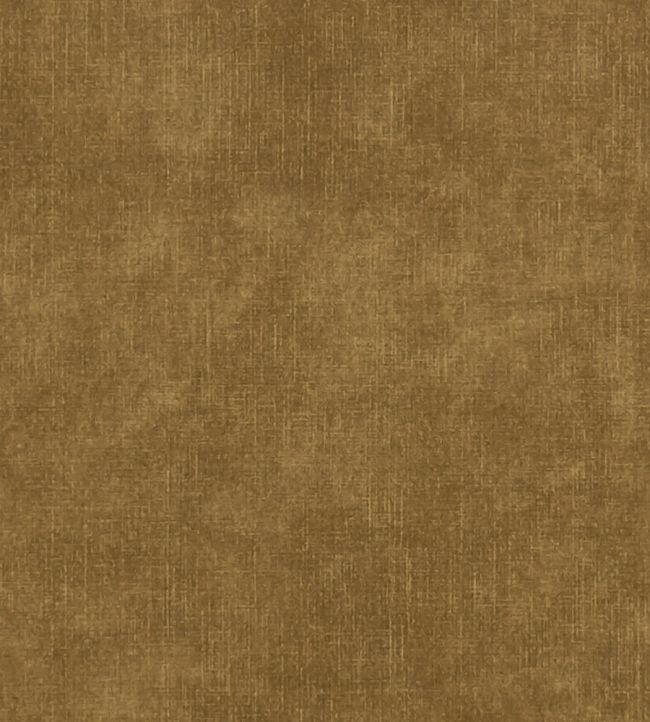 Martello Fabric by Clarke & Clarke Nutmeg