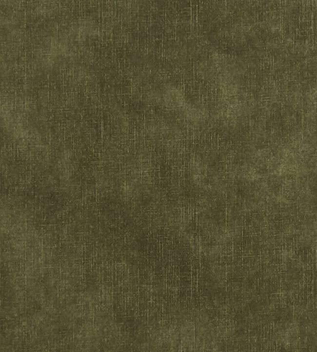 Martello Fabric by Clarke & Clarke Olive