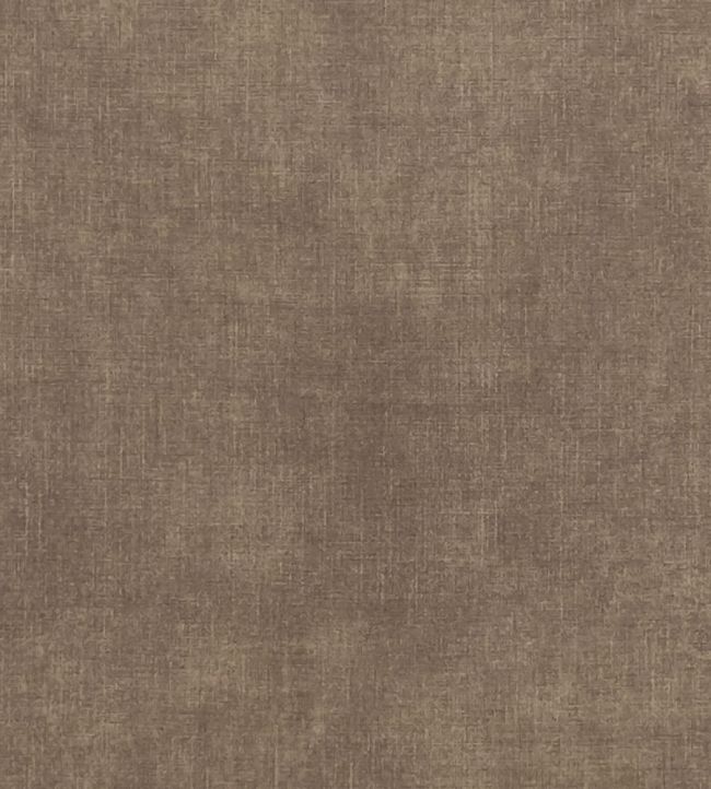Martello Fabric by Clarke & Clarke Otter