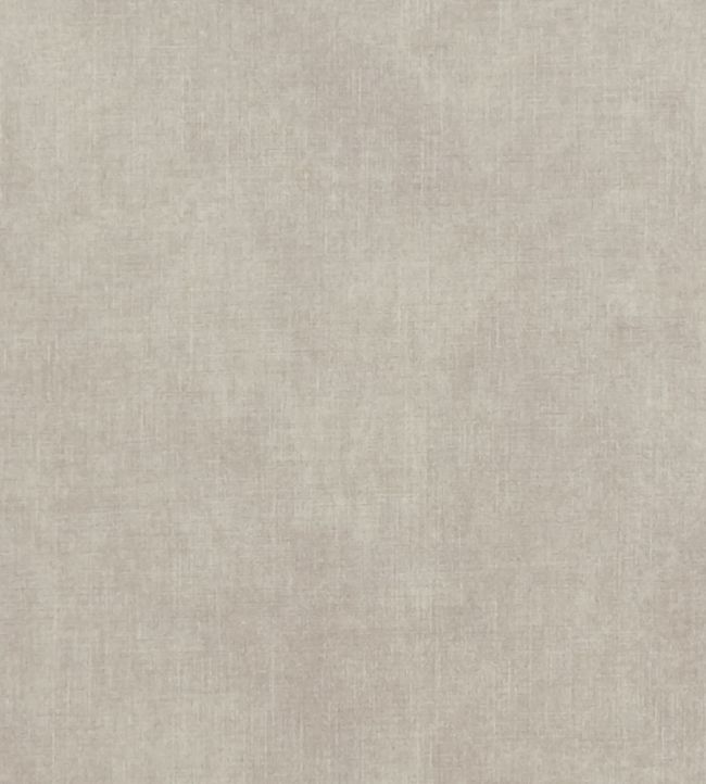 Martello Fabric by Clarke & Clarke Parchment