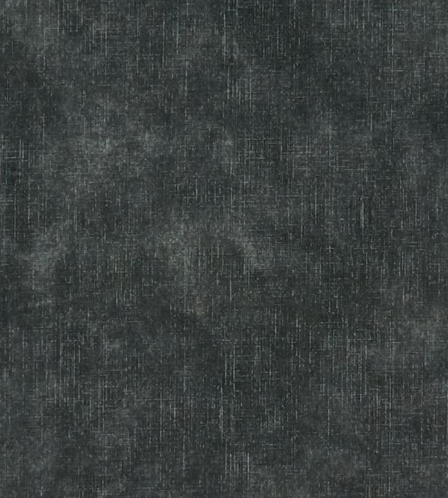 Martello Fabric by Clarke & Clarke Raven