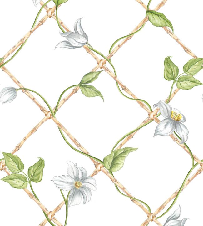 Clematis on Bamboo Trellis Wallpaper by Alice Crawley Green