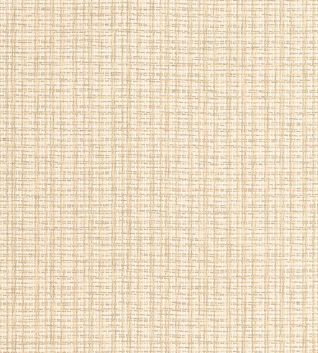 Coastline Wallpaper by Thibaut Wheat
