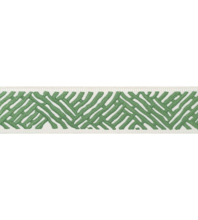 Cobble Hill Tape Trimming by Thibaut Spring