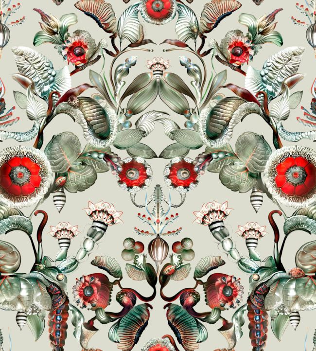 Coccinella Bella Wallpaper by Moooi Stone Grey