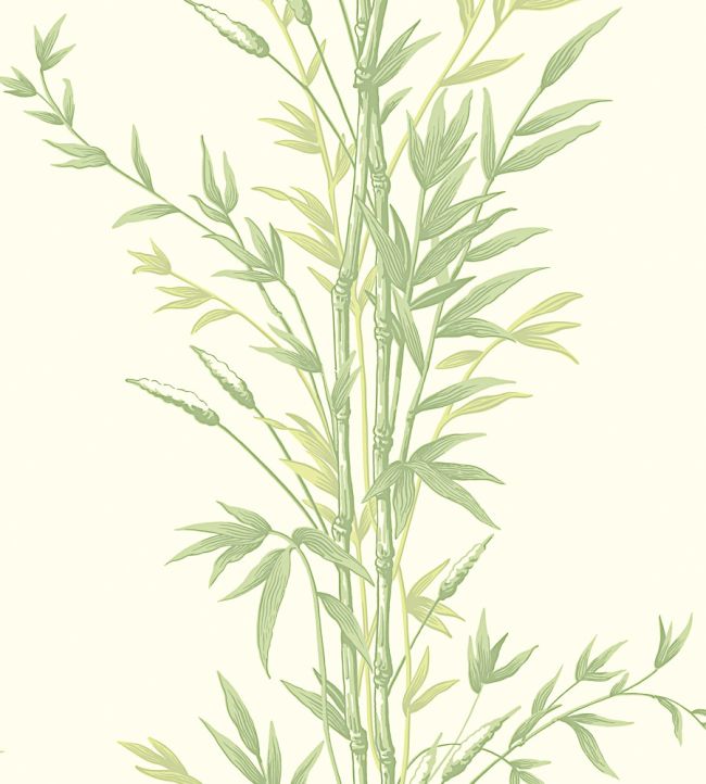 Bamboo Wallpaper by Cole & Son Olive Green
