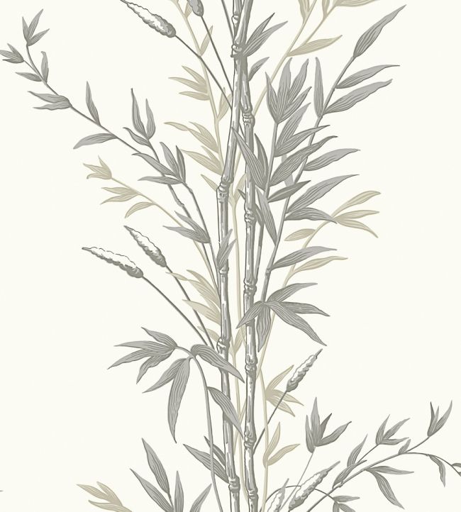 Bamboo Wallpaper by Cole & Son Taupe