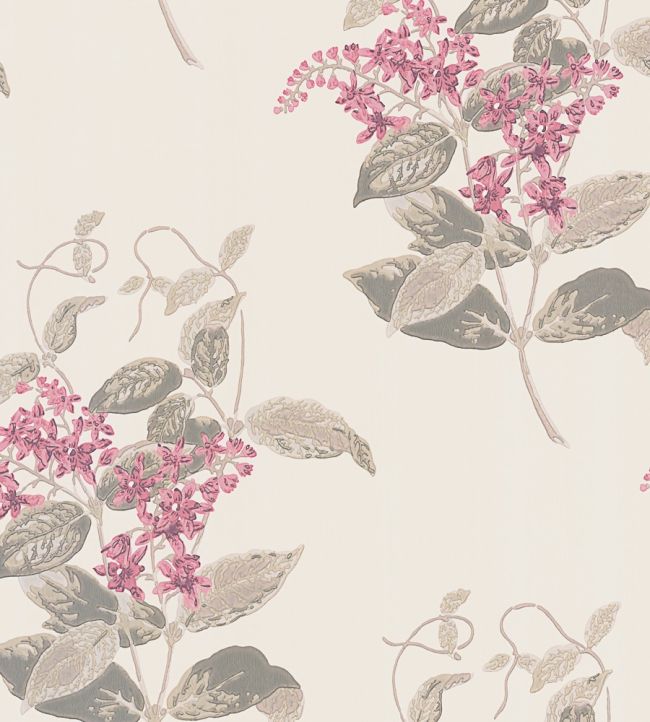 Madras Violet Wallpaper by Cole & Son Fuchsia & Linen