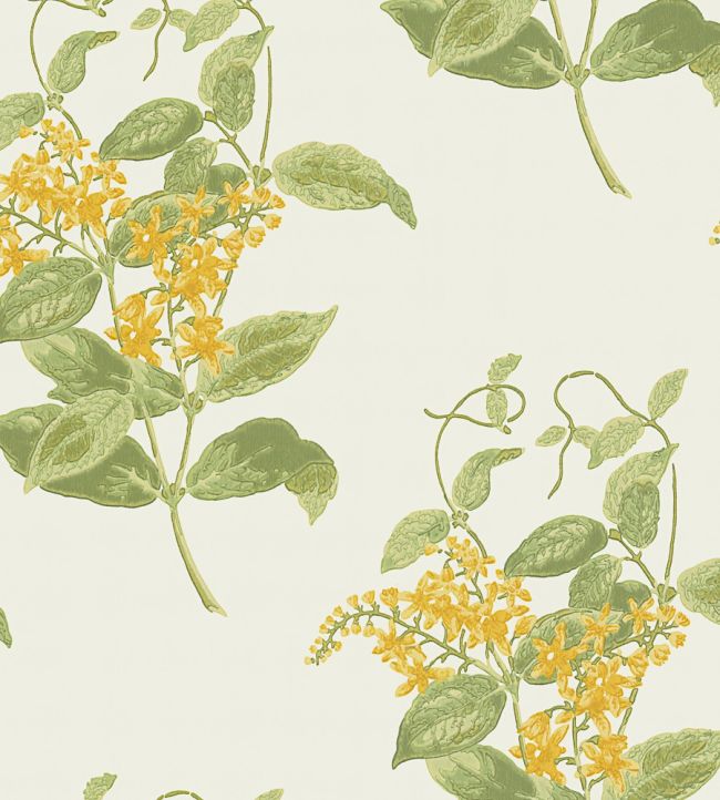 Madras Violet Wallpaper by Cole & Son Yellow