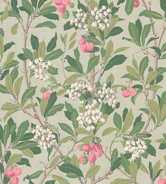 Strawberry Tree Wallpaper by Cole & Son Chalk, Rose & Forest Green