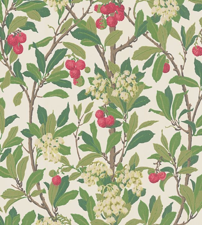 Strawberry Tree Wallpaper by Cole & Son Olive, Red & Leaf Green