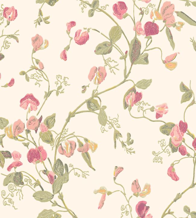 Sweet Pea Wallpaper by Cole & Son Coral & Olive