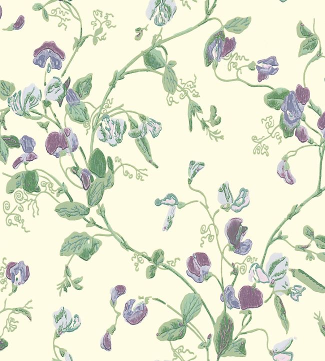 Sweet Pea Wallpaper by Cole & Son Mulberry & Sage