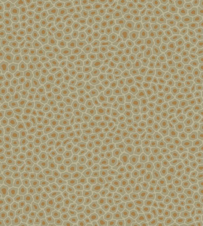 Senzo Spot Wallpaper by Cole & Son 6029