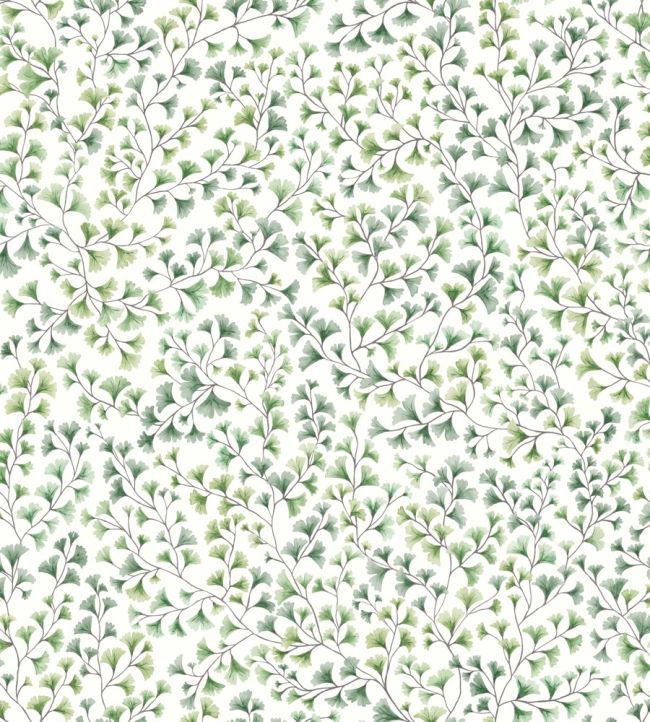 Maidenhair Wallpaper by Cole & Son Olive