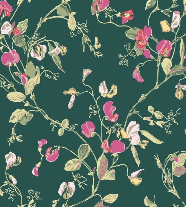 Sweet Pea Wallpaper by Cole & Son Cerise & Magenta on Viridian