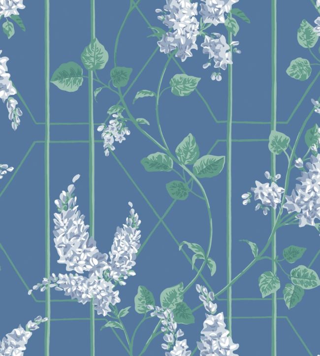 Wisteria Wallpaper by Cole & Son Powder Blue & Jade on Cerulean Sky