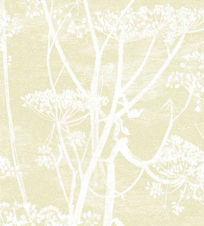 Cow Parsley Wallpaper by Cole & Son Sand