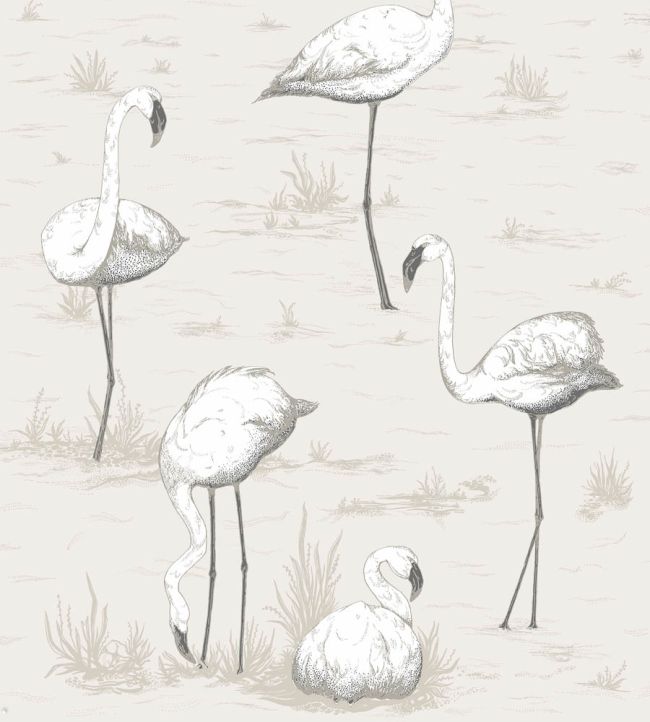 Flamingos Wallpaper by Cole & Son 46