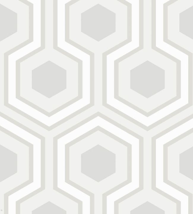 Hicks' Grand Wallpaper by Cole & Son 36