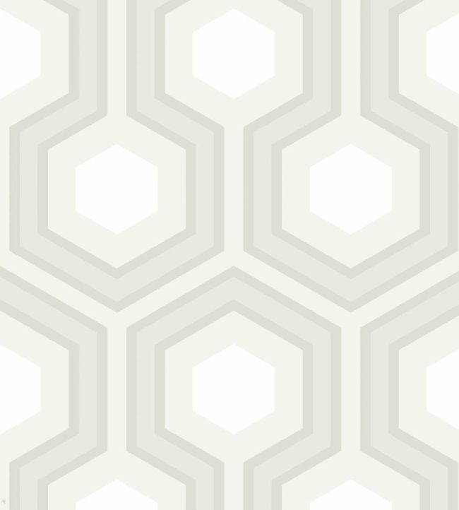 Hicks' Grand Wallpaper by Cole & Son 37