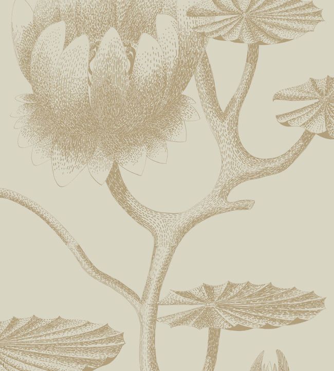 Lily Wallpaper by Cole & Son 19