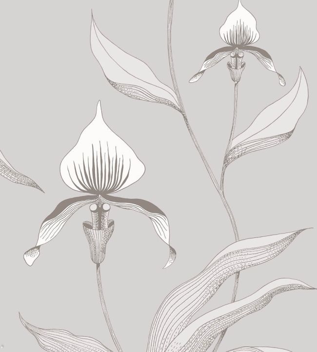 Orchid Wallpaper by Cole & Son 55