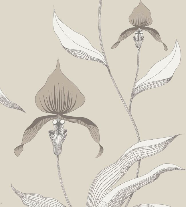 Orchid Wallpaper by Cole & Son 58