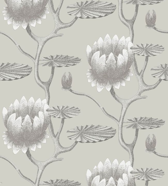 Summer Lily Wallpaper by Cole & Son 25