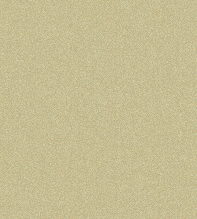 Goldstone Wallpaper by Cole & Son 9041