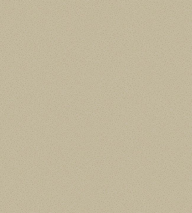 Goldstone Wallpaper by Cole & Son 9042