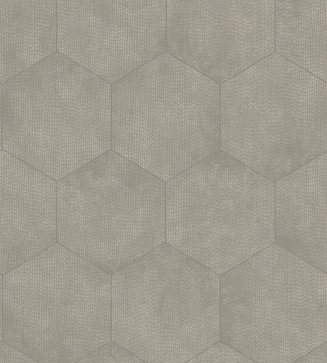 Mineral Wallpaper by Cole & Son 6030
