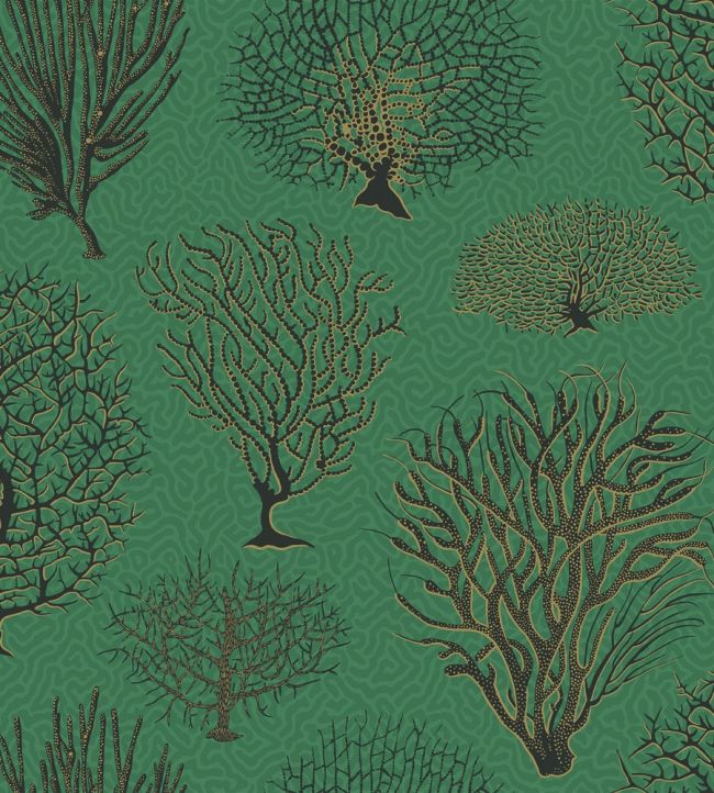 Seafern Wallpaper by Cole & Son 2007