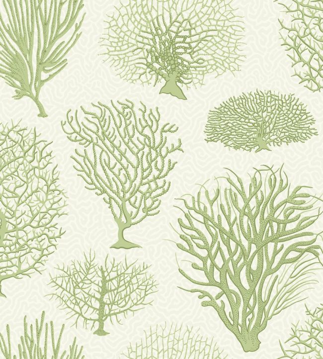 Seafern Wallpaper by Cole & Son 2008