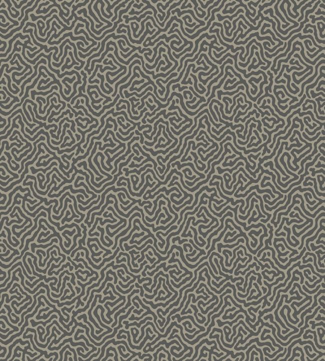 Vermicelli Wallpaper by Cole & Son 4017