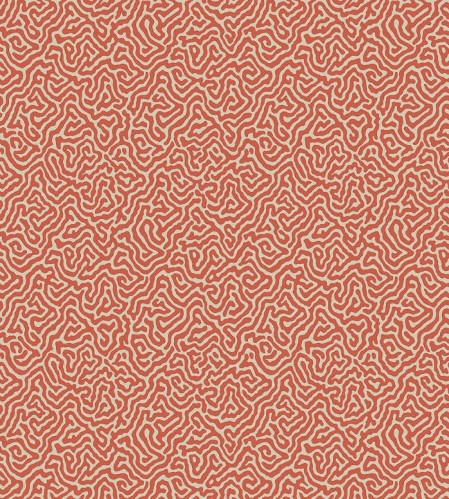 Vermicelli Wallpaper by Cole & Son 4018