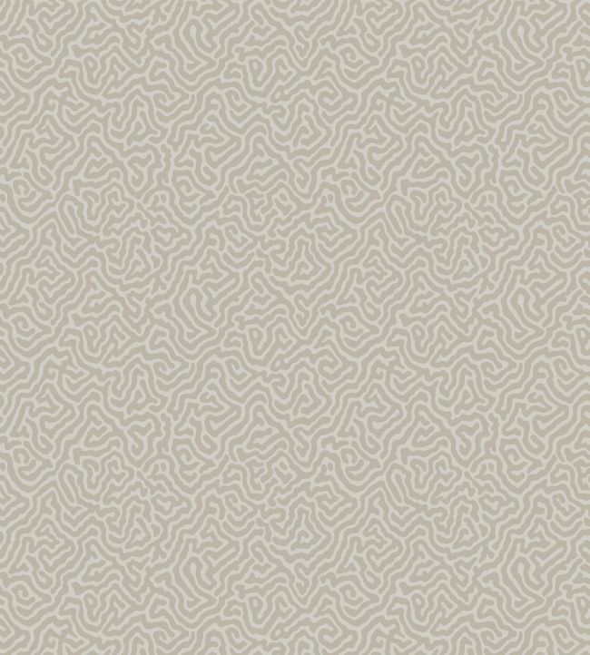 Vermicelli Wallpaper by Cole & Son 4019
