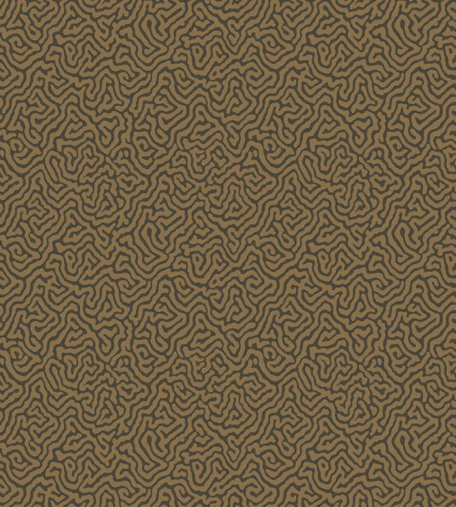 Vermicelli Wallpaper by Cole & Son 4020