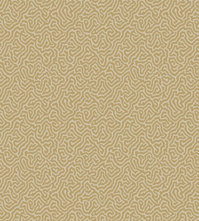 Vermicelli Wallpaper by Cole & Son 4021