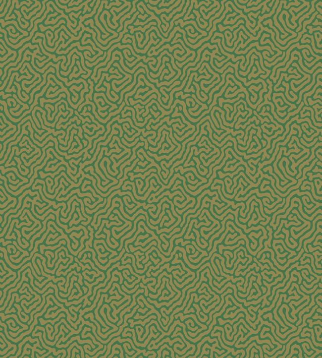 Vermicelli Wallpaper by Cole & Son 4022
