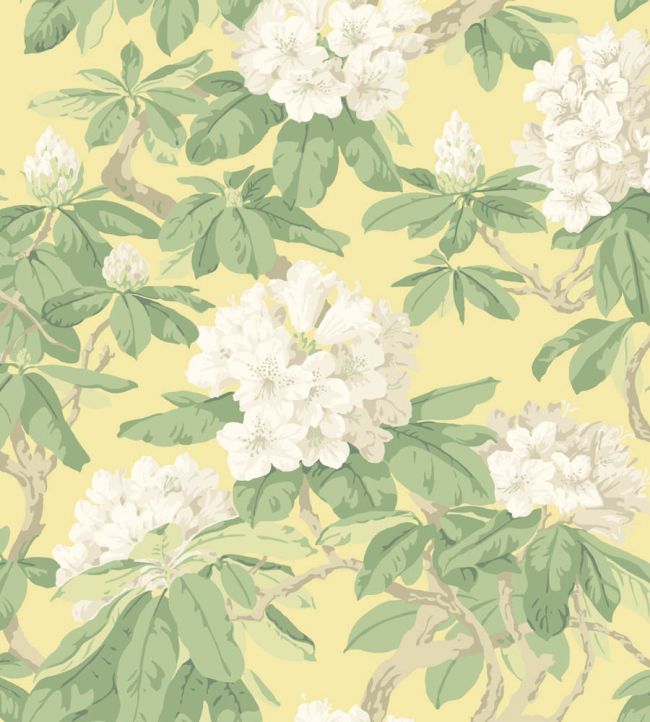 Bourlie Wallpaper by Cole & Son 4021