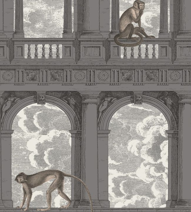 Procuratie Con Vista Wallpaper by Cole & Son Soot & Snow