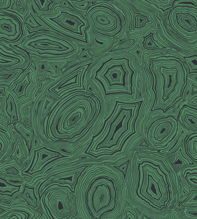 Malachite Wallpaper by Cole & Son Emerald and Black